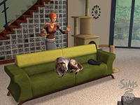 Вещи, на которые никто не обращает внимания в The Sims 3